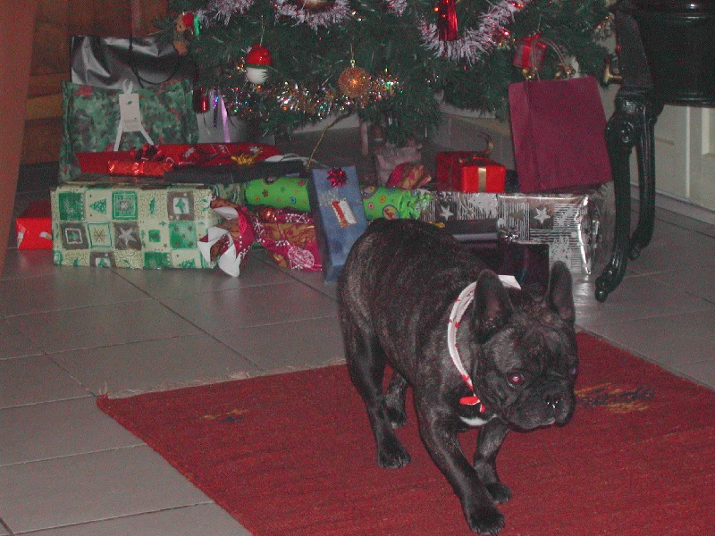 Publication : Du clos des hesperides Auteur : Martine PITON