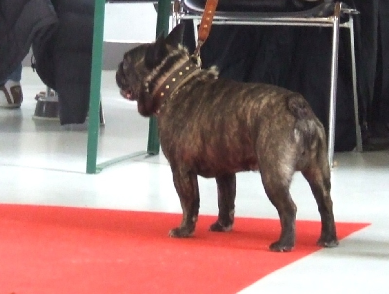 Publication : Du clos des hesperides Auteur : Martine P.