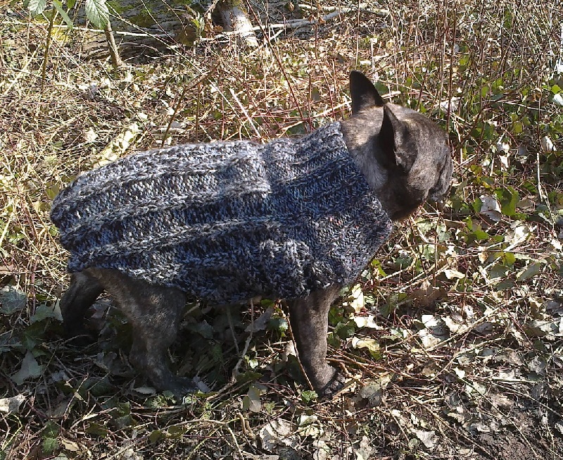 Publication : Du clos des hesperides Auteur : Martine P.