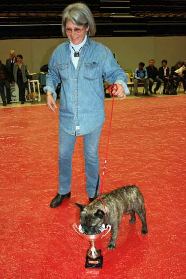 Publication : Du clos des hesperides Auteur : Martine P.