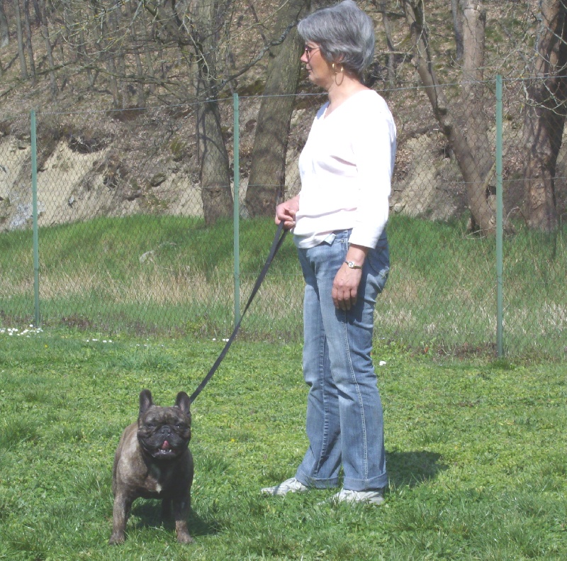 Publication : Du clos des hesperides Auteur : Martine P.