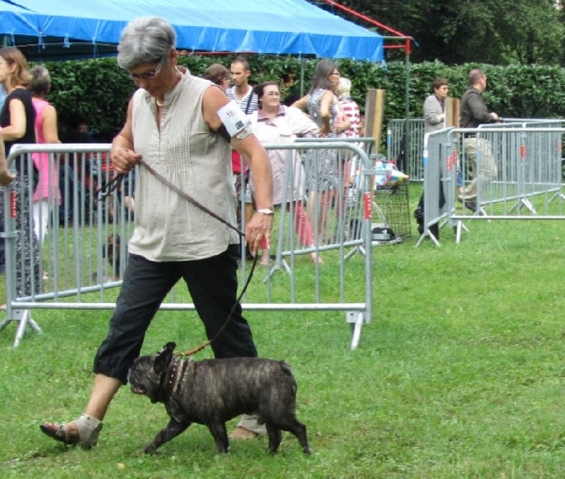 Theodule de la font de Nimes - 1er EXC. Classe Vétéran - Meilleur de Race Vétéran