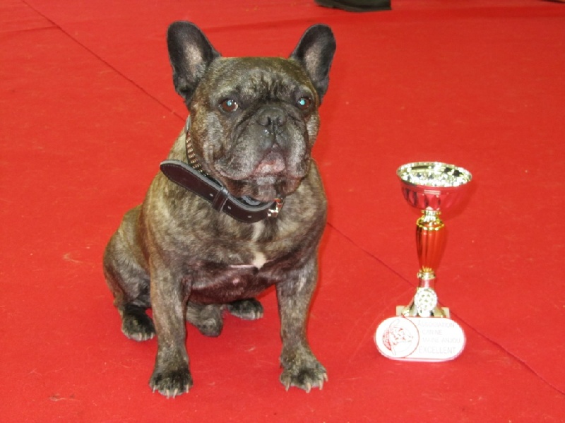 Theodule de la font de Nimes - 1er EXC Classe Vétéran