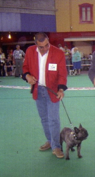 Theodule de la font de Nimes - Excellent - Classe Ouverte