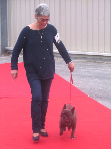 Theodule de la font de Nimes - 1er EXC. Classe Vénérable - Meilleur Vénérable