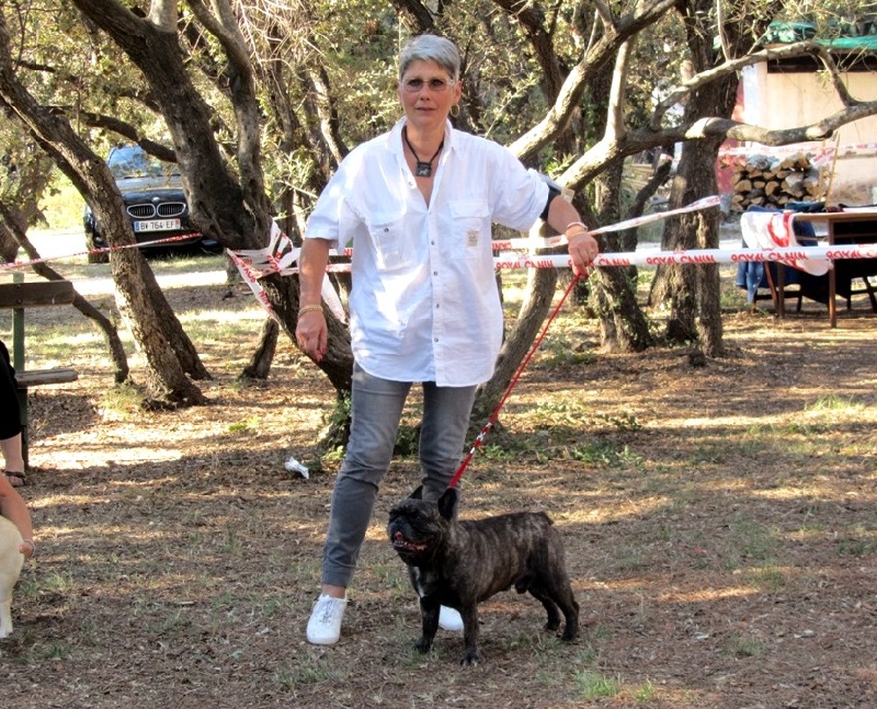 Theodule de la font de Nimes - 1er EXC Mâle Classe Vétéran + MEILLEUR VETERAN