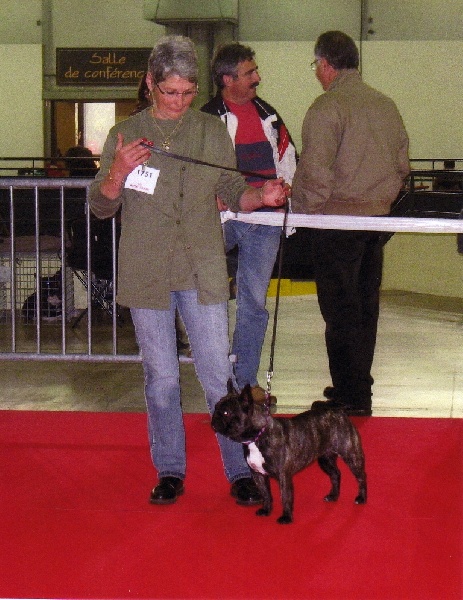 Appoline brown De gipsidane - 3ème Excellent - Classe Ouverte