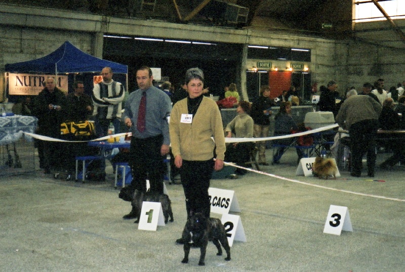 Theodule de la font de Nimes - 2ème Excellent RCACS - Classe Intermédiaire