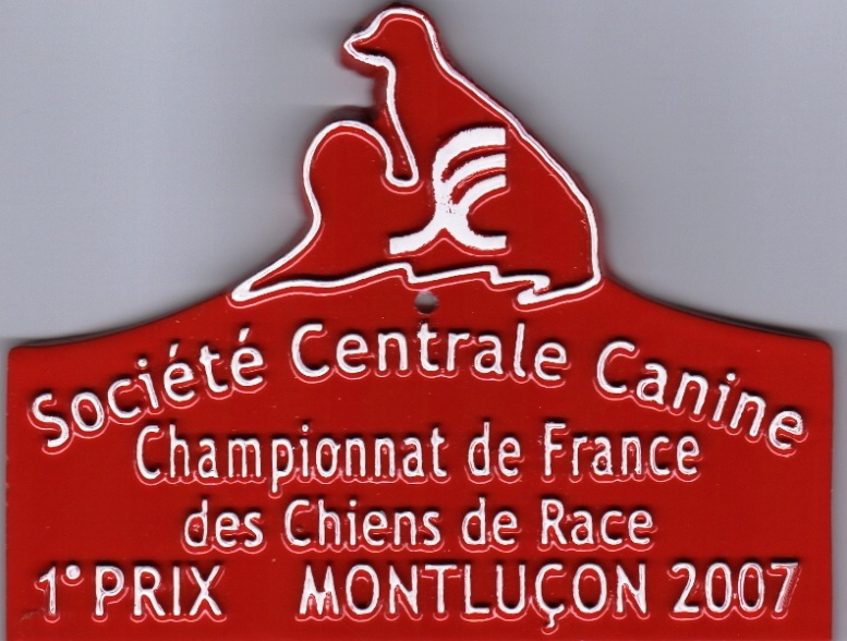 Appoline brown De gipsidane - 1ère Excellent - Classe Intermédiaire