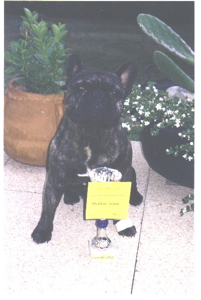 Theodule de la font de Nimes - 1er Excellent Classe Jeune - Meilleur Jeune