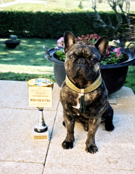Theodule de la font de Nimes - 1er Excellent Classe Jeune - Meilleur Jeune