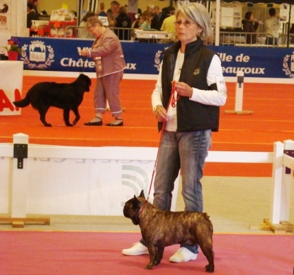 Theodule de la font de Nimes - Excellent - Classe Ouverte