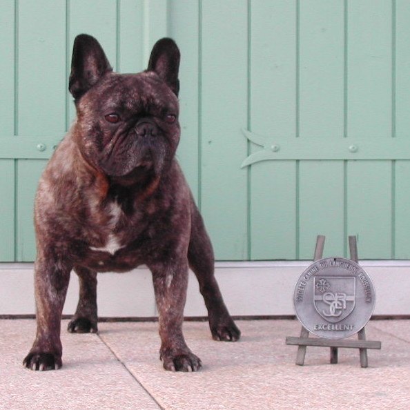 Theodule de la font de Nimes - 4ème Excellent - Classe Ouverte