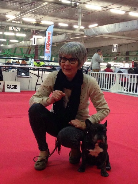 Appoline brown De gipsidane - 1er EXC. Meilleur Vétéran de la Race