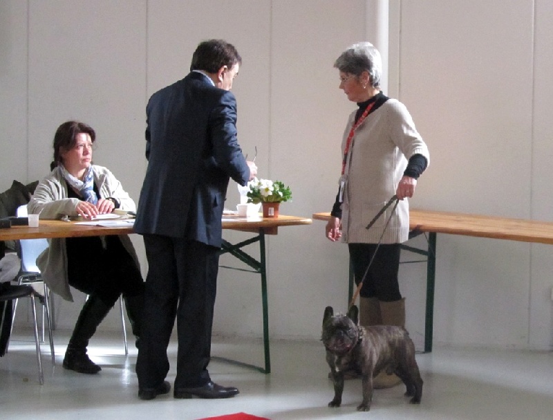 Theodule de la font de Nimes - 1er EXC - Classe Vétéran Mâle Bringé + MEILLEUR VETERAN