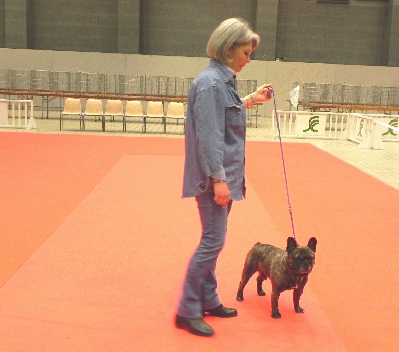 Theodule de la font de Nimes - 1er Excellent - Classe Vétéran