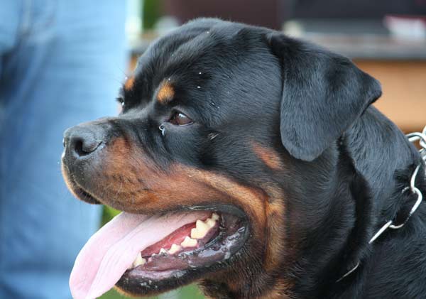 Publication : vom Hellimer Hof