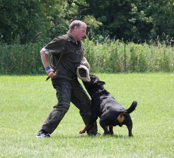 Publication : vom Hellimer Hof