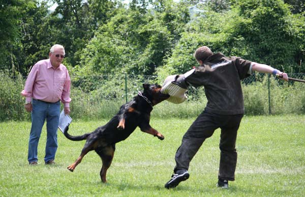 Publication : vom Hellimer Hof