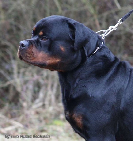 Publication : vom Hellimer Hof