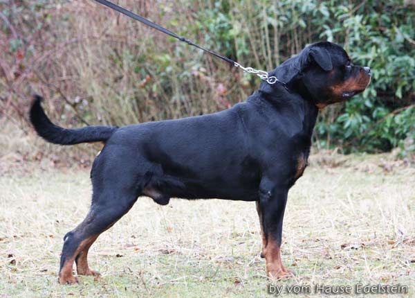 Publication : vom Hellimer Hof