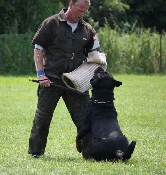 Publication : vom Hellimer Hof