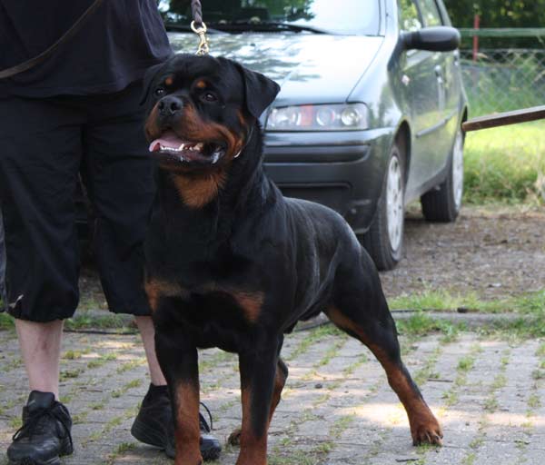 Publication : vom Hellimer Hof