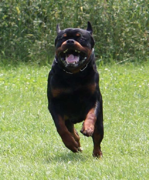 Publication : vom Hellimer Hof