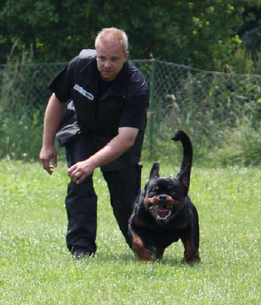 Publication : vom Hellimer Hof