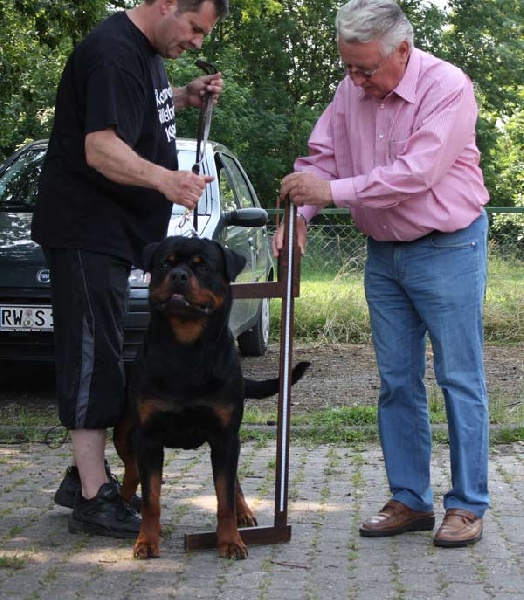 Publication : vom Hellimer Hof