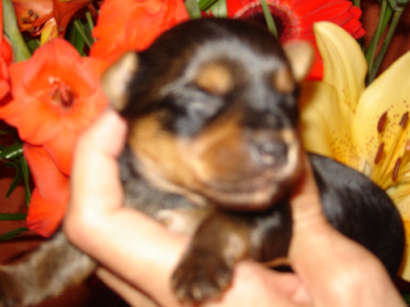 Publication : du Domaine San Sébastian