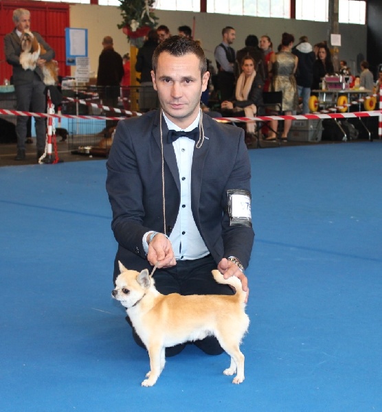 CH. Pépé Del pasador - 2 Excellent R.C.A.C.