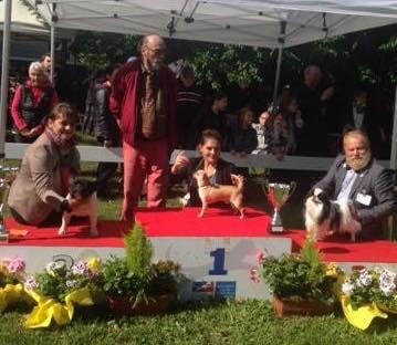 Leyco hiro du Domaine San Sébastian - 1 Excellent C.A.C.S Meilleur de Race 1er du Groupe 9