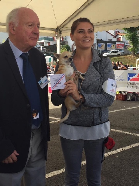 Leyco hiro du Domaine San Sébastian - 1 Excellent C.A.C.S Meilleur de Race