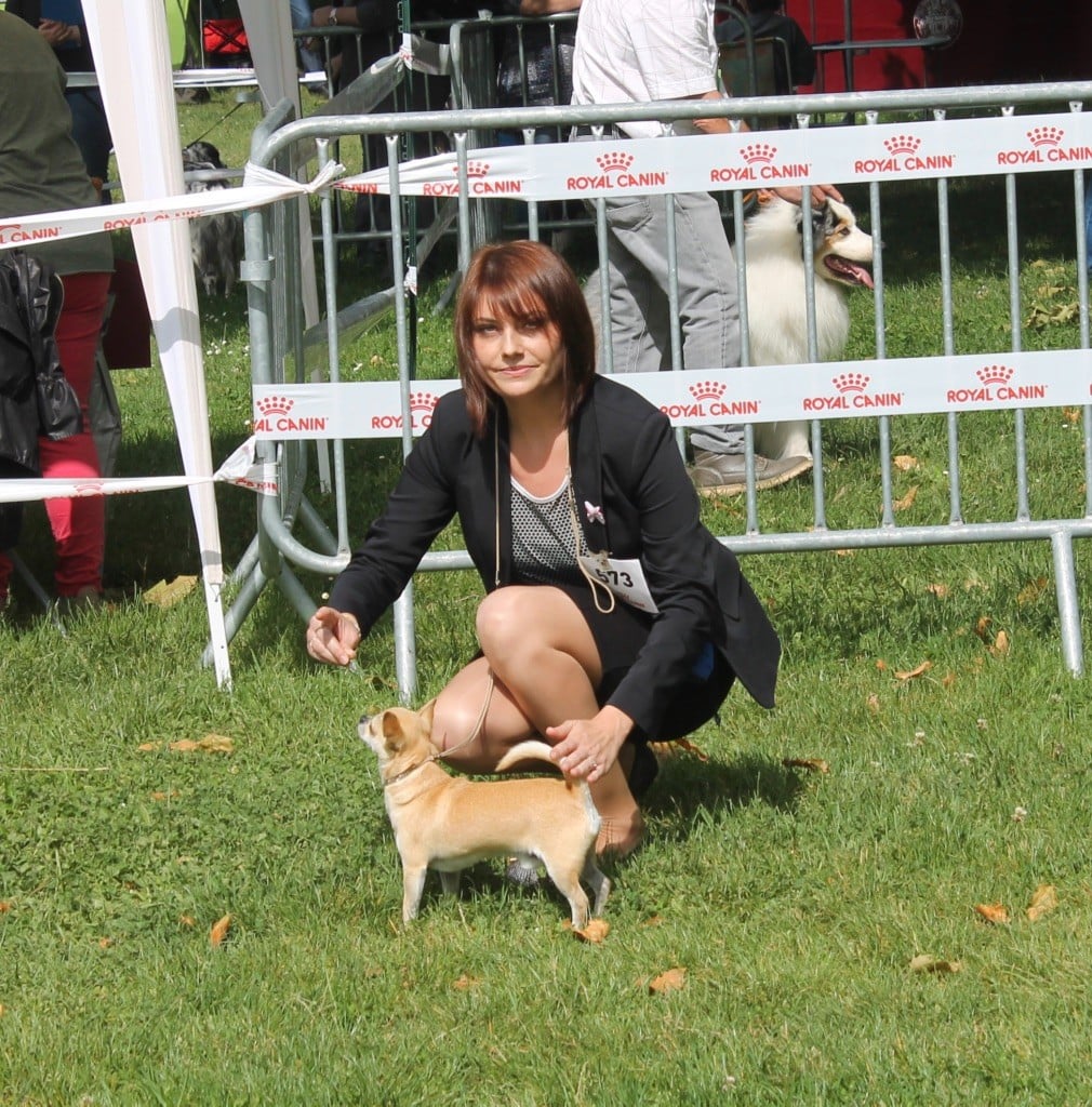 Leyco hiro du Domaine San Sébastian - 1 EXCELLENT C.A.C.S Meilleur de Sexe Opposé