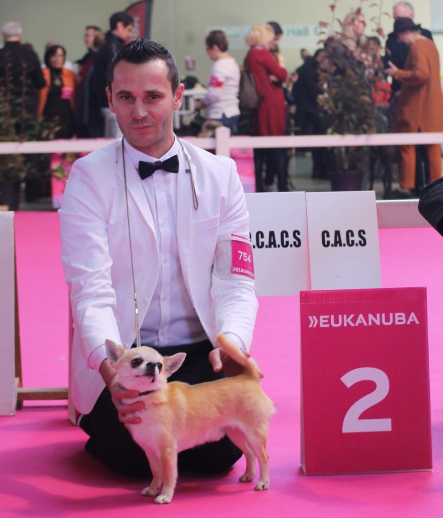 CH. Pépé Del pasador - 2 Excellent