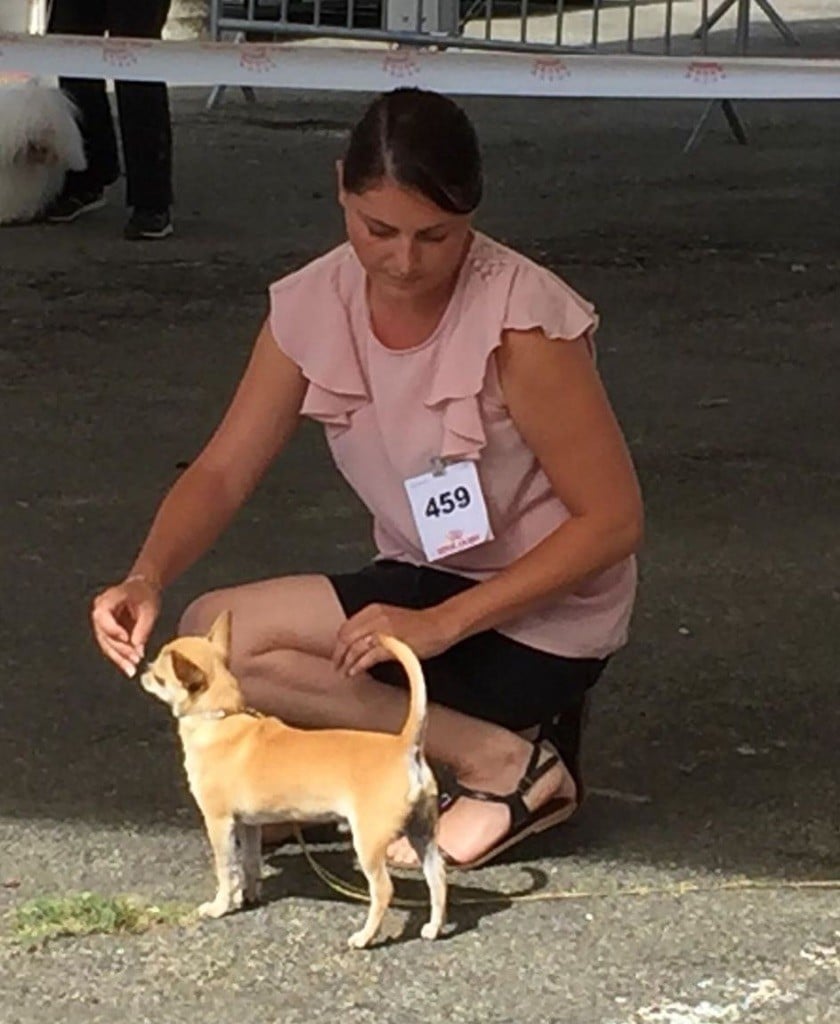 Leyco hiro du Domaine San Sébastian - 2 Excellent