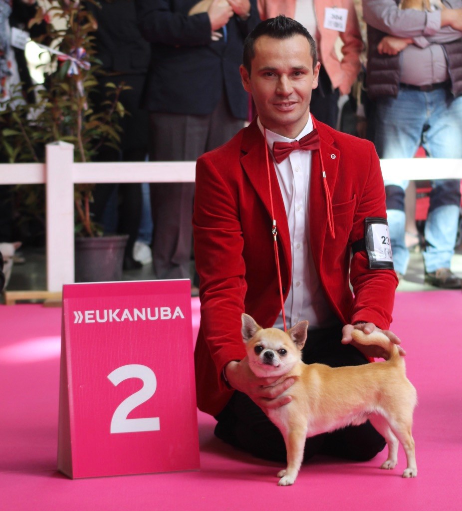 CH. Pépé Del pasador - 2 Excellent