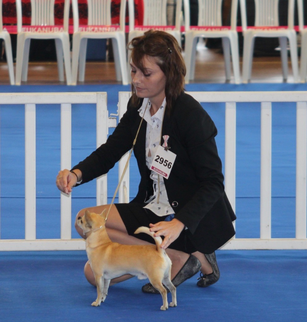 Leyco hiro du Domaine San Sébastian - Excellent