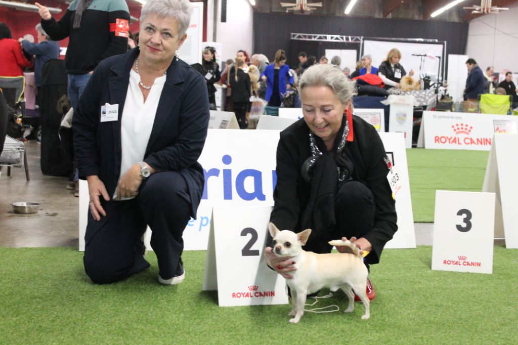 Saphyr du Domaine San Sébastian - 2 Excellent