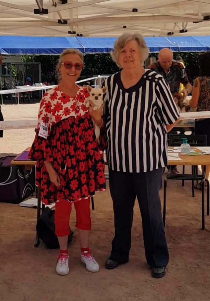 Saphyr du Domaine San Sébastian - 1 Excellent C.A.C.S Meilleur de Race