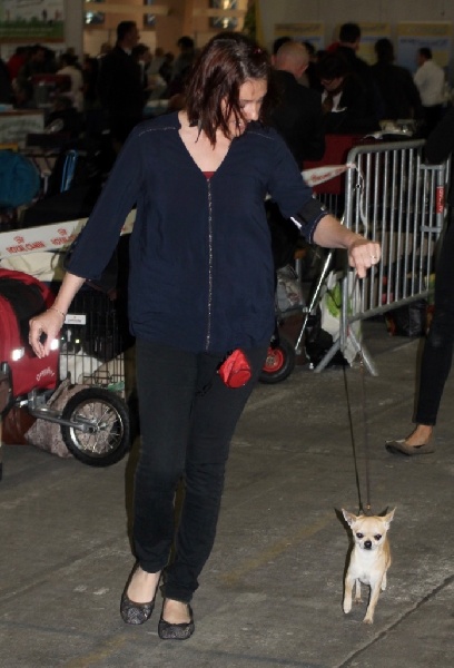 Leyco hiro du Domaine San Sébastian - 2 Excellent