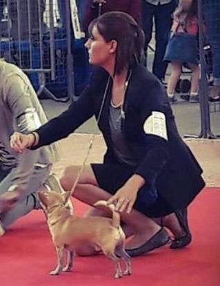 Leyco hiro du Domaine San Sébastian - 1 Excellent C.A.C.S MEILLEUR DE RACE BOG1