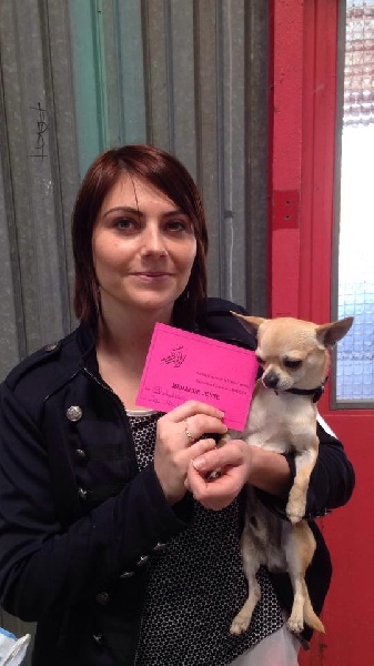 Leyco hiro du Domaine San Sébastian - 1 Excellent Meilleur Jeune