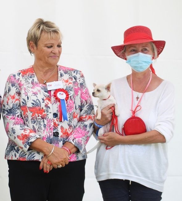 Saphyr du Domaine San Sébastian - 2 Très Prometteur