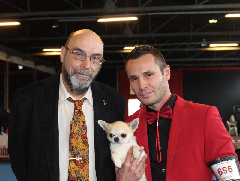 CH. Pépé Del pasador - 1 Excellent C.A.C. / C.A.C.I.B Meilleur De Race Qualifié Crufts 2017