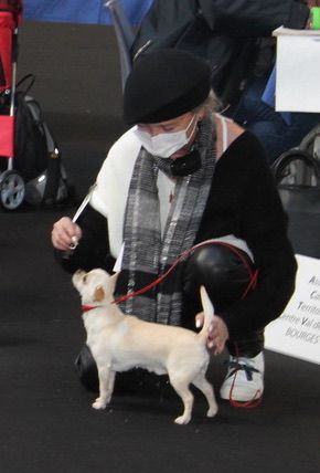 Saphyr du Domaine San Sébastian - Excellent