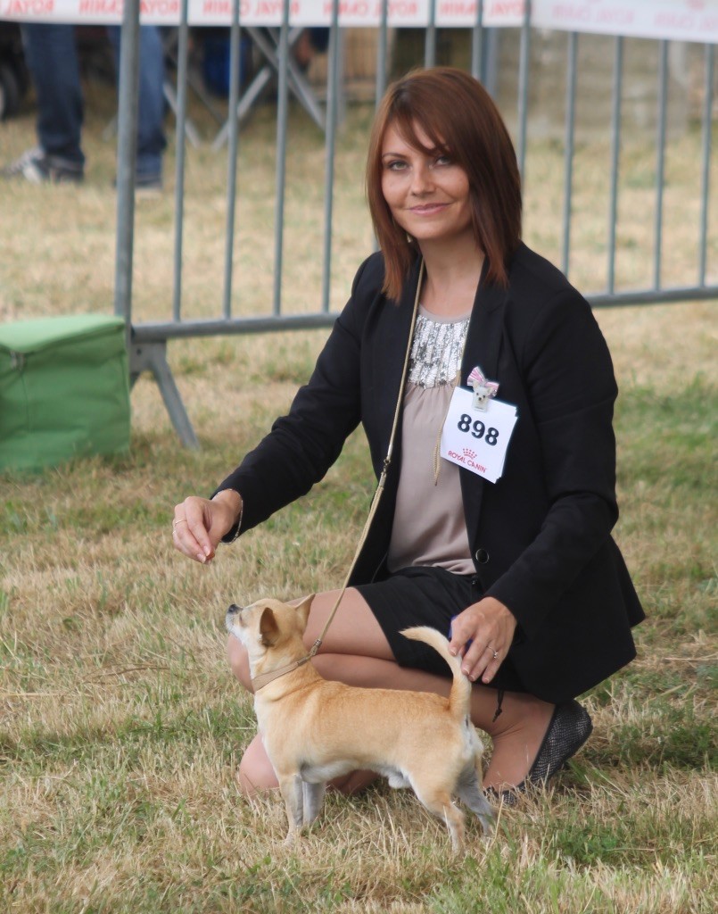 Leyco hiro du Domaine San Sébastian - 2 Excellent R.C.A.C.S / R.C.A.C.I.B