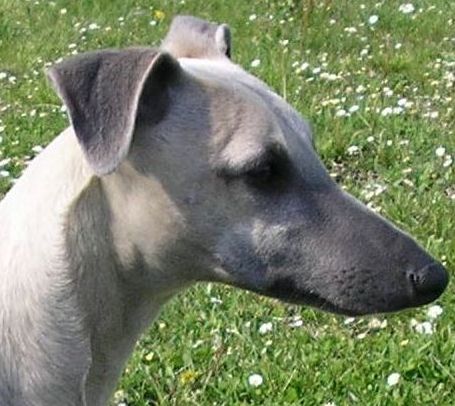 Publication : de la Vallée des Baronnies