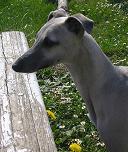 Publication : de la Vallée des Baronnies